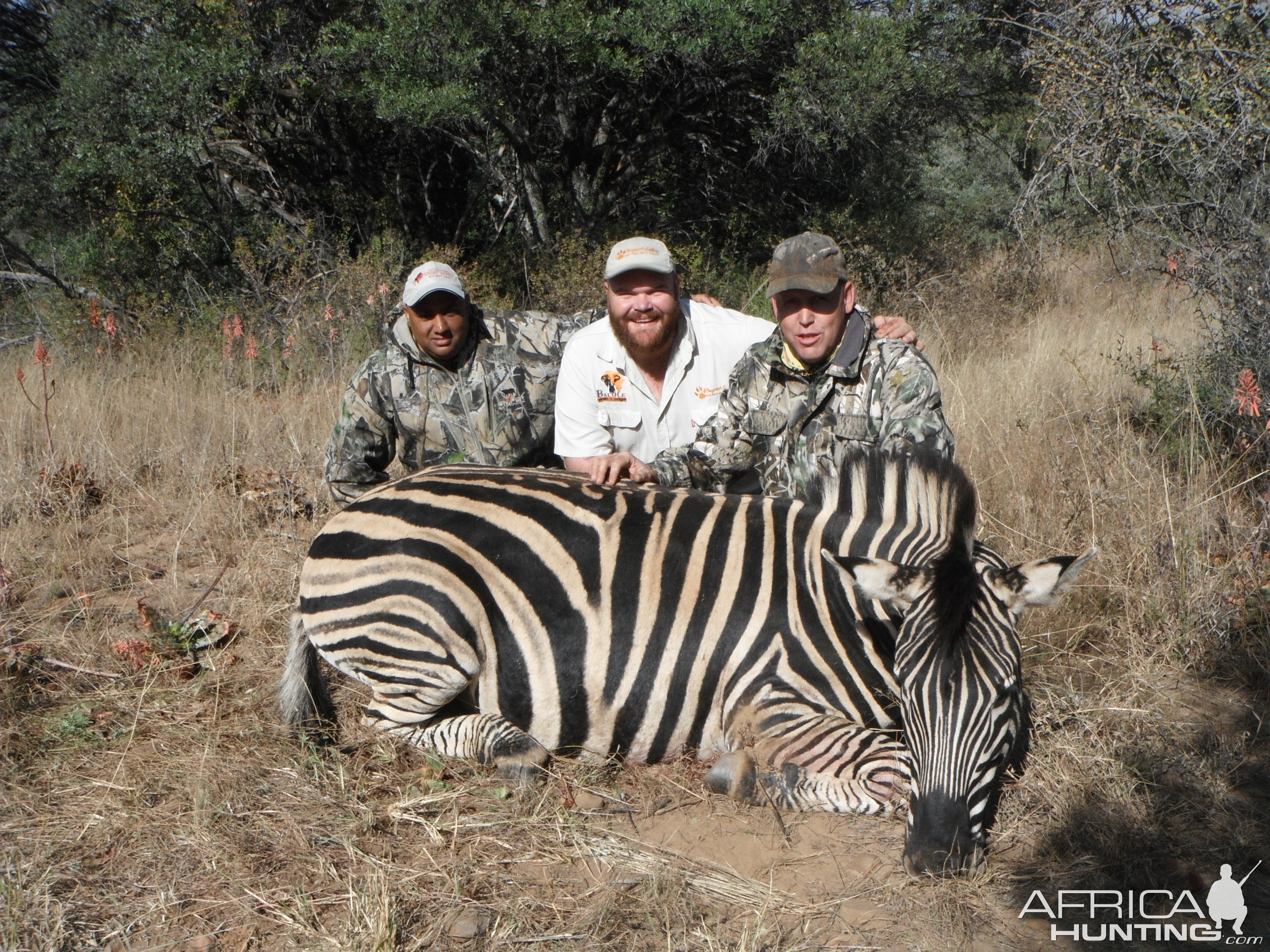 Hunting Burchell's Plain Zebra in South Africa