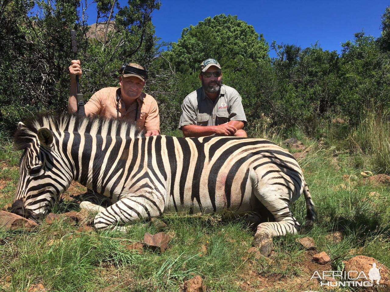 Hunting Burchell's Plain Zebra in South Africa