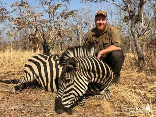 Hunting Burchell's Plain Zebra in Zimbabwe