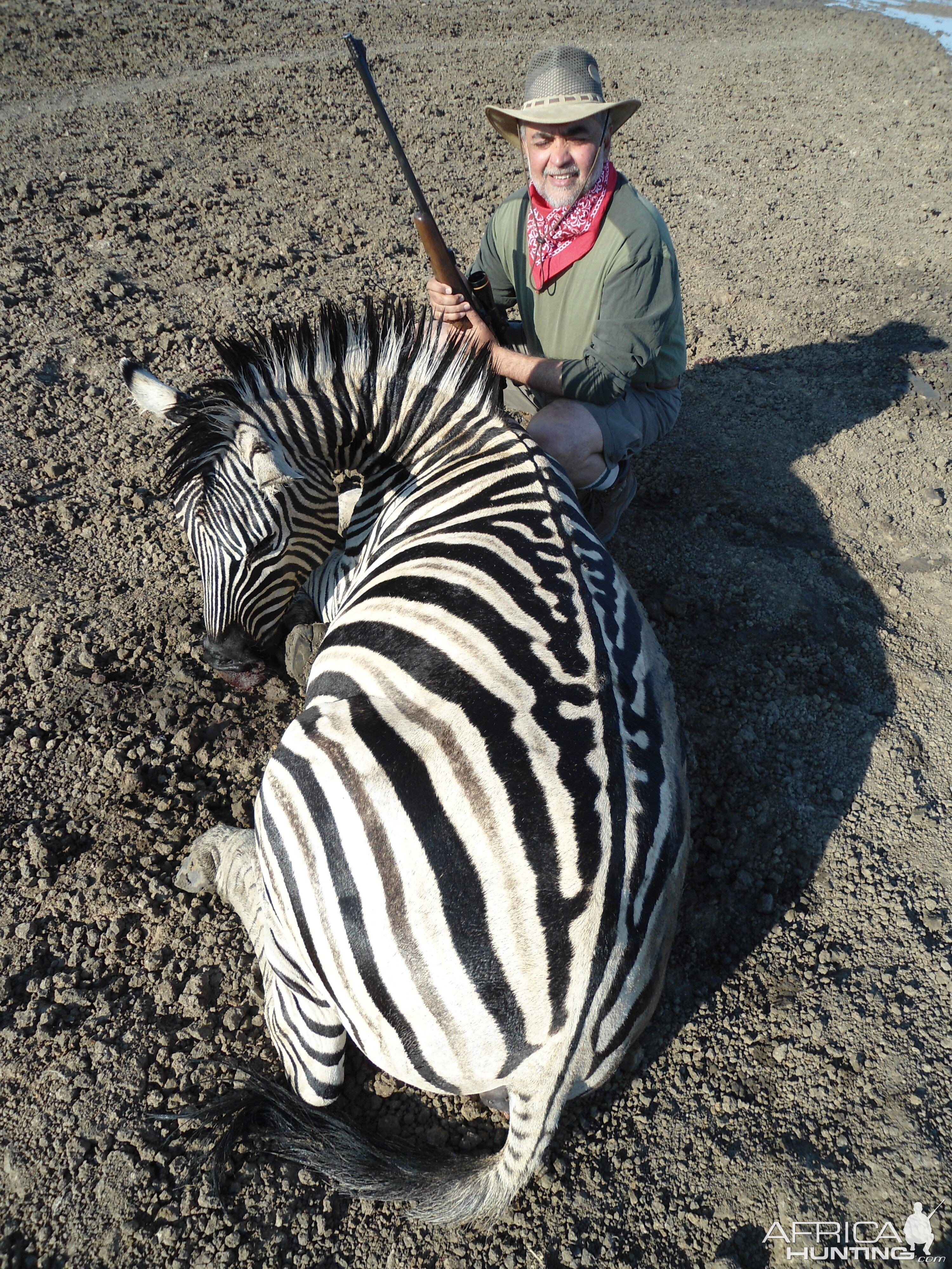 Hunting Burchell's Zebra in Namibia