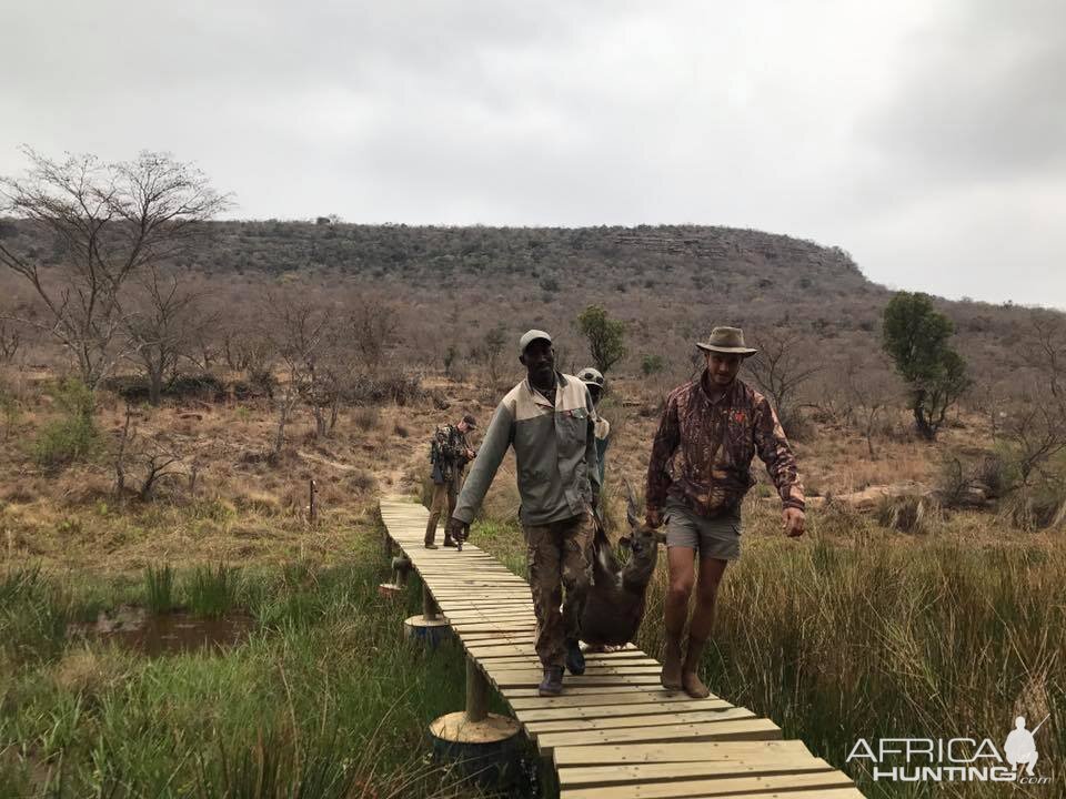 Hunting Bushbuck in South Africa