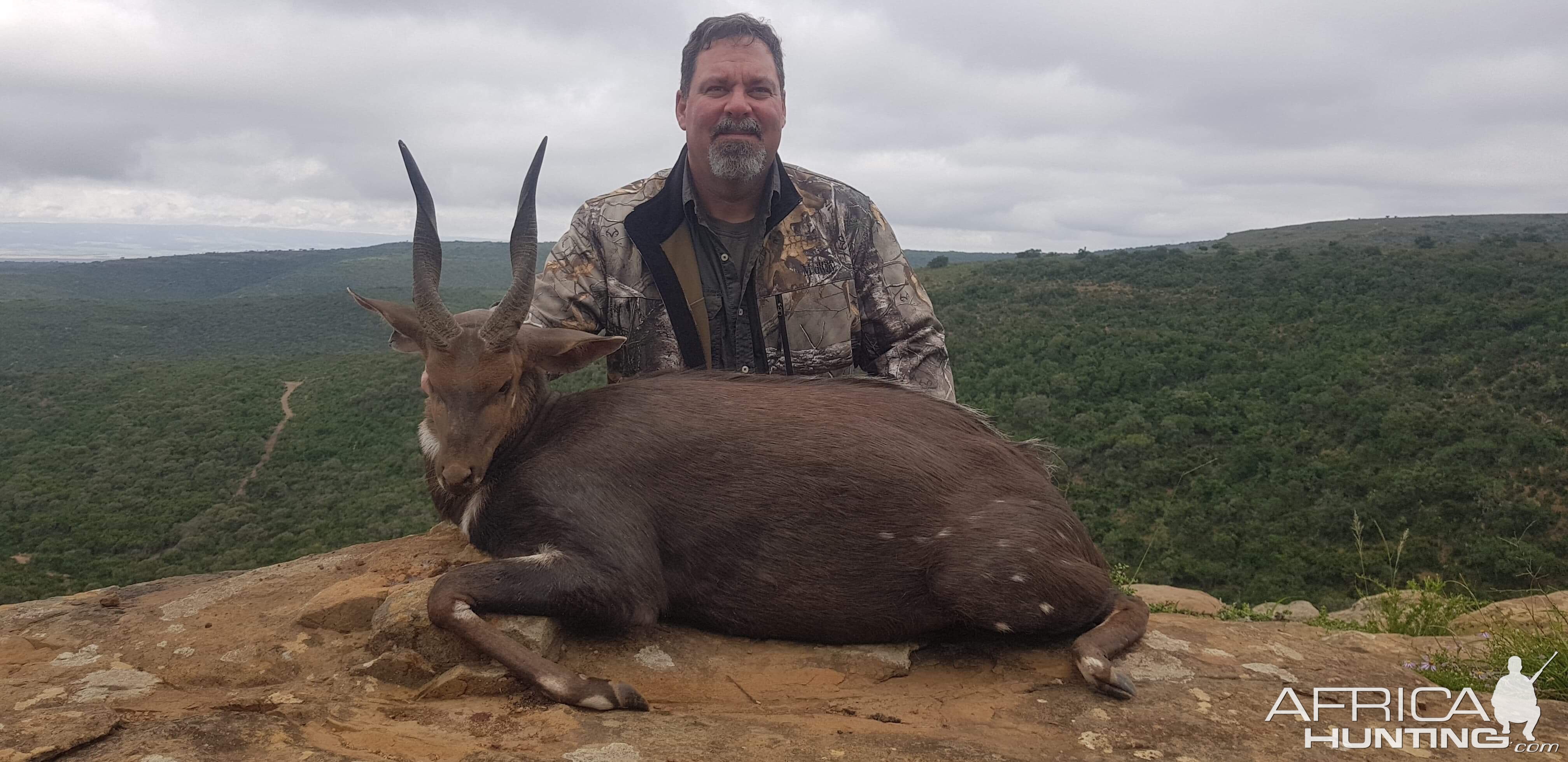 Hunting Bushbuck in South Africa