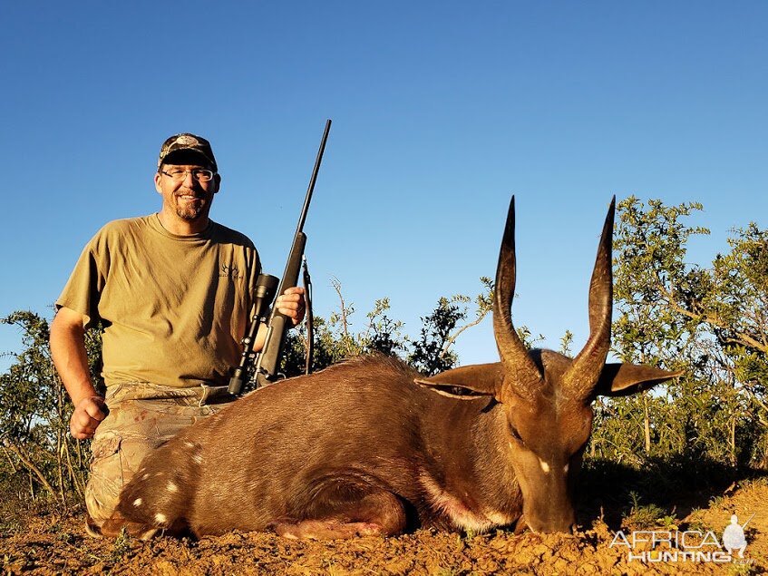 Hunting Bushbuck in South Africa