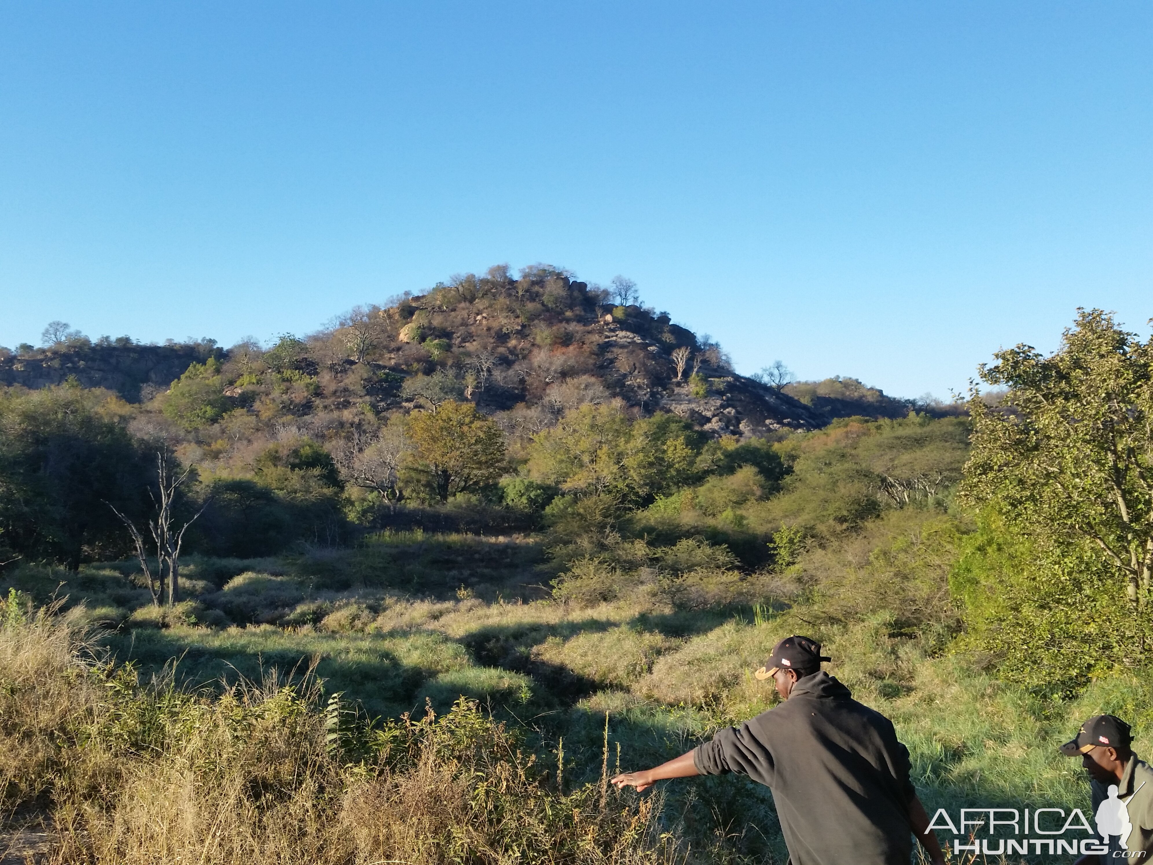 Hunting Bushbuck Zimbabwe