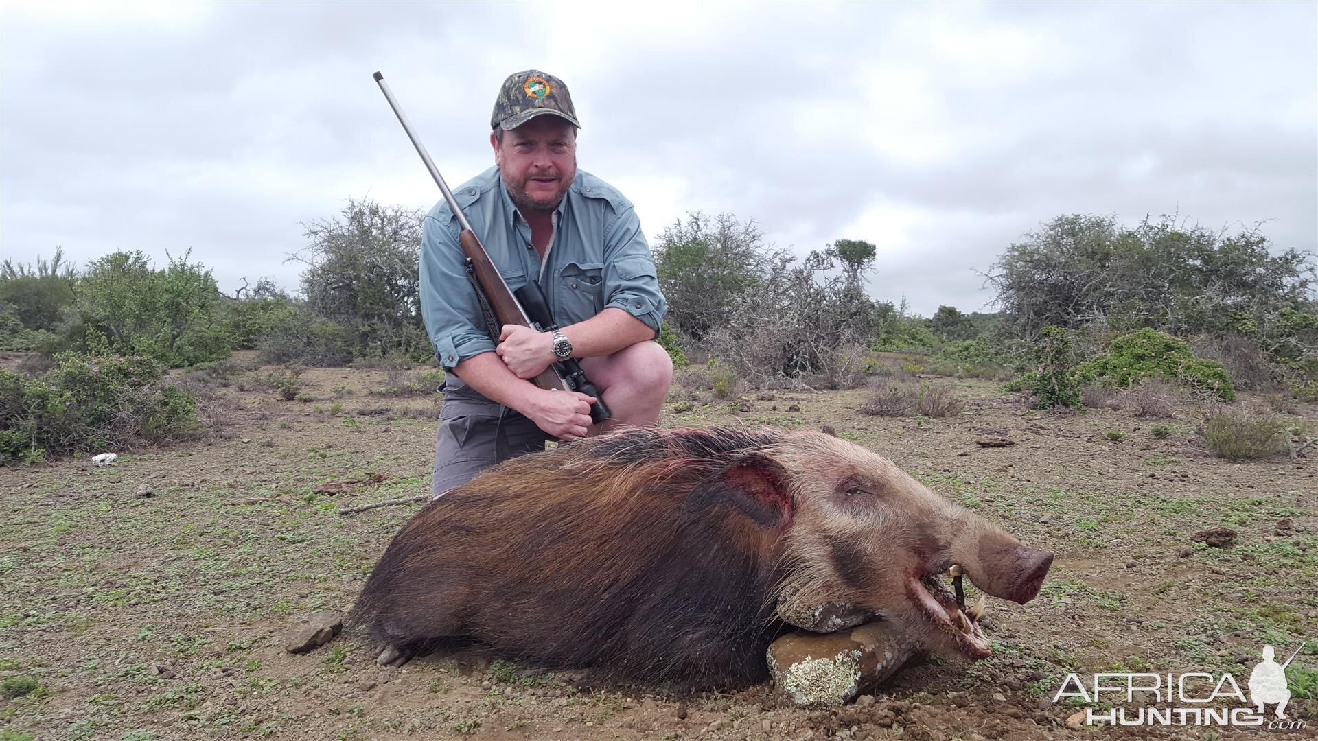 Hunting Bushpig South Africa