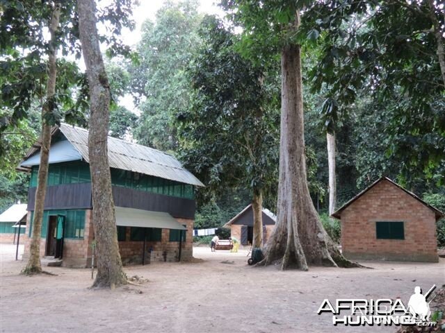 Hunting camp in Congo