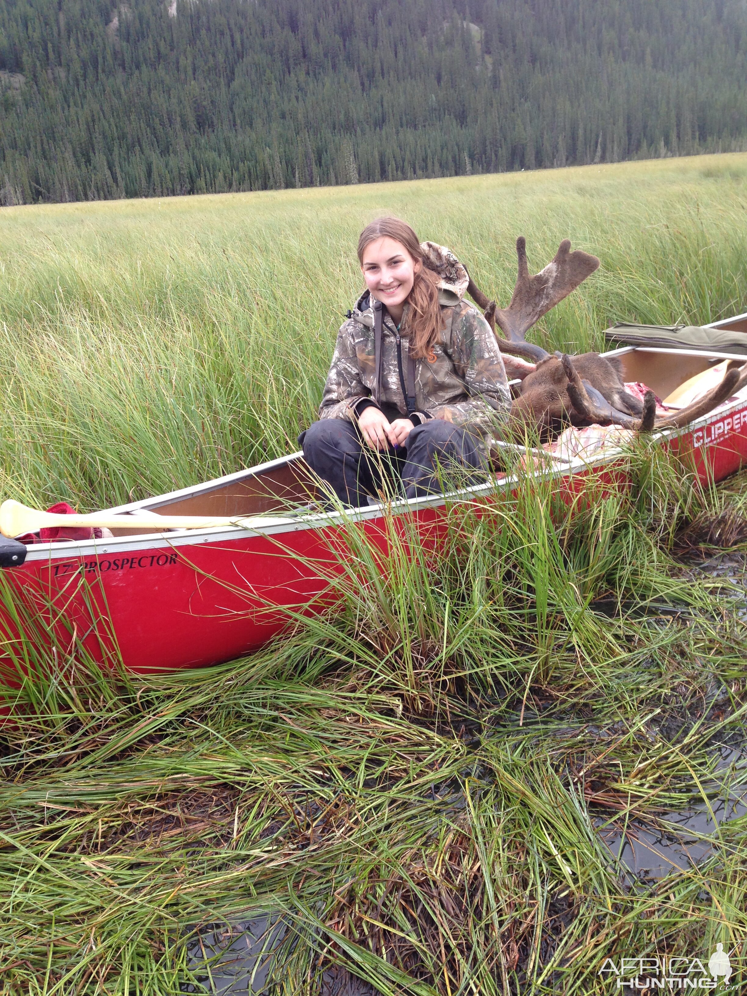 Hunting Canada Moose