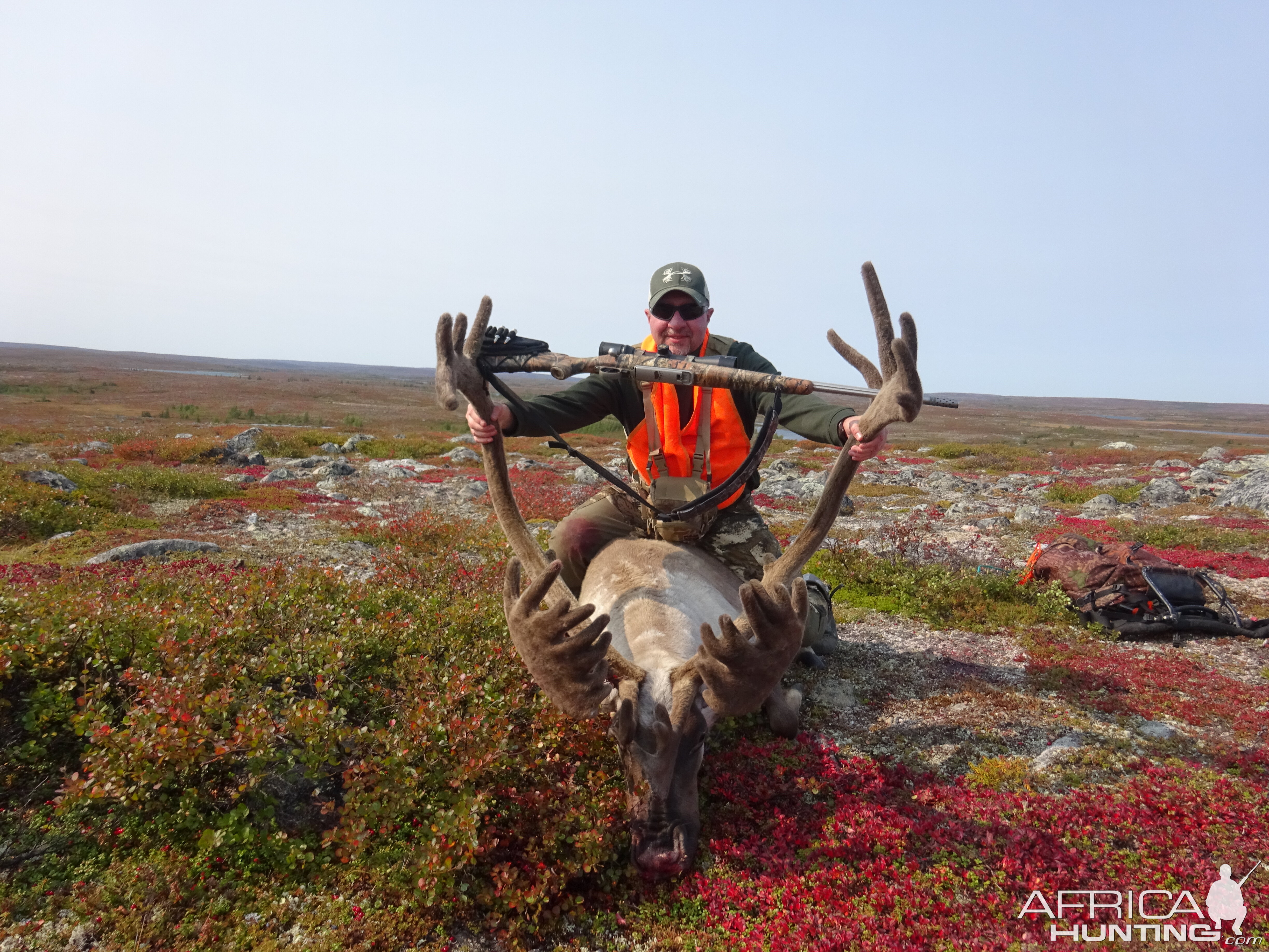 Hunting Canada Quebec Caribou