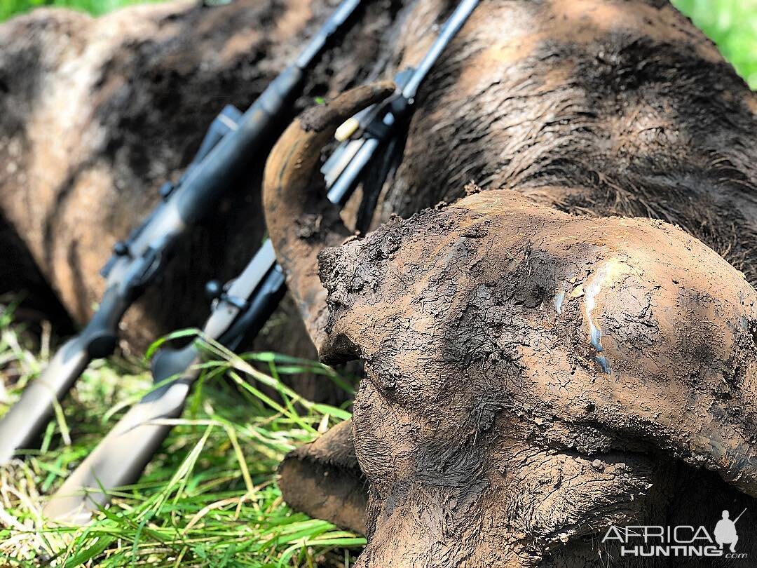 Hunting Cape Buffalo in Mozambique