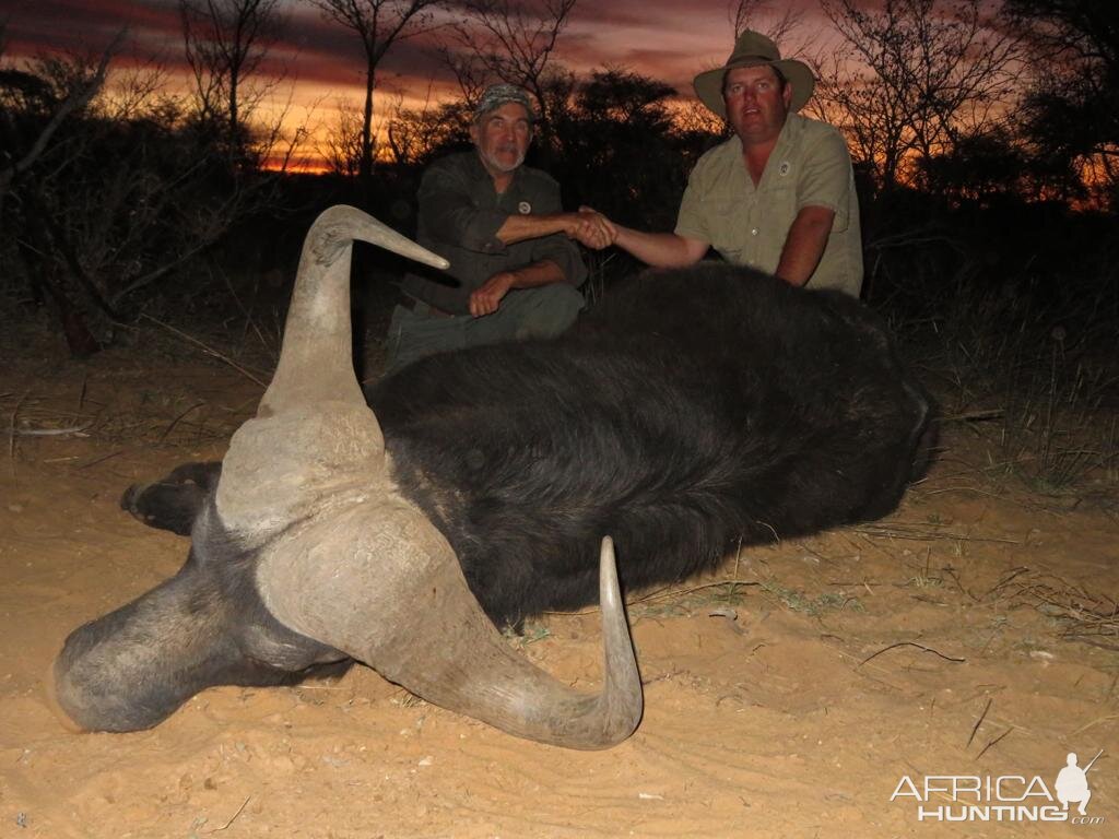 Hunting Cape Buffalo in South Africa