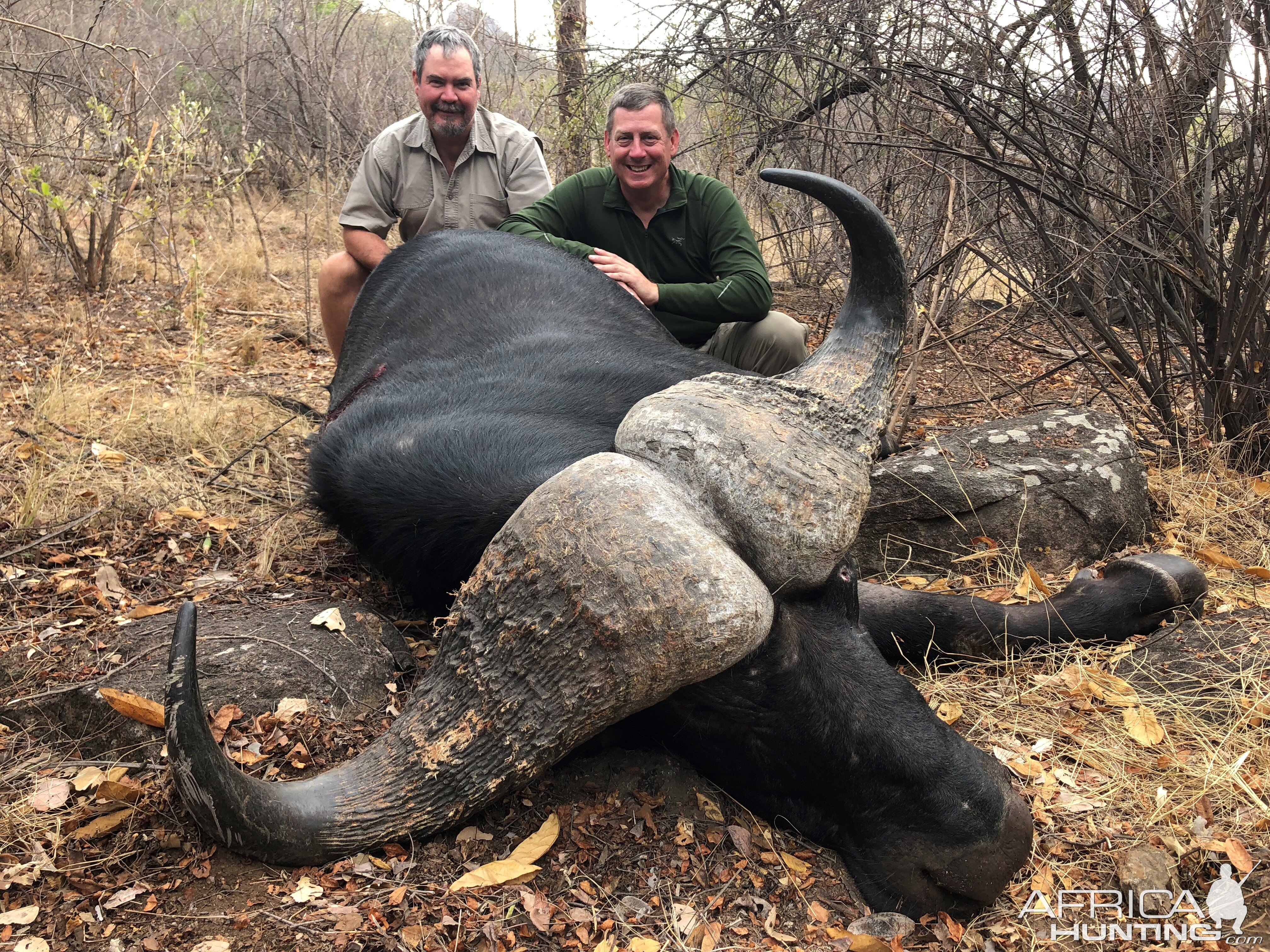 Hunting Cape Buffalo in Zimbabwe