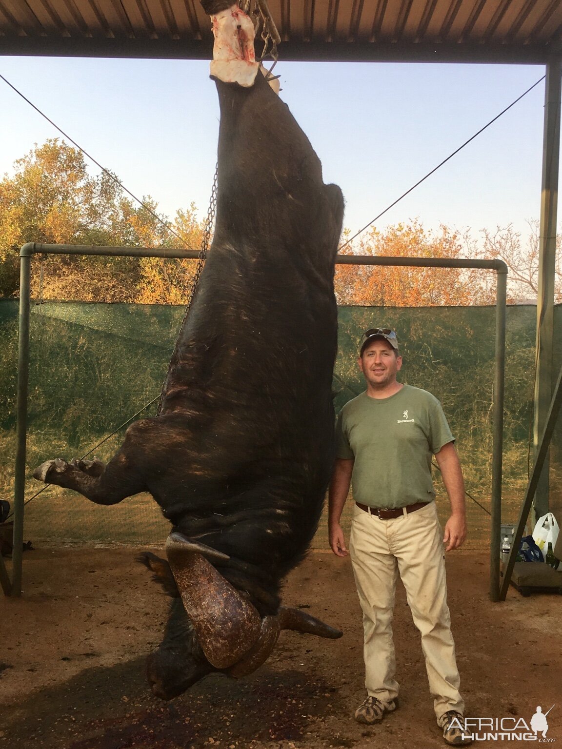 Hunting Cape Buffalo South Africa