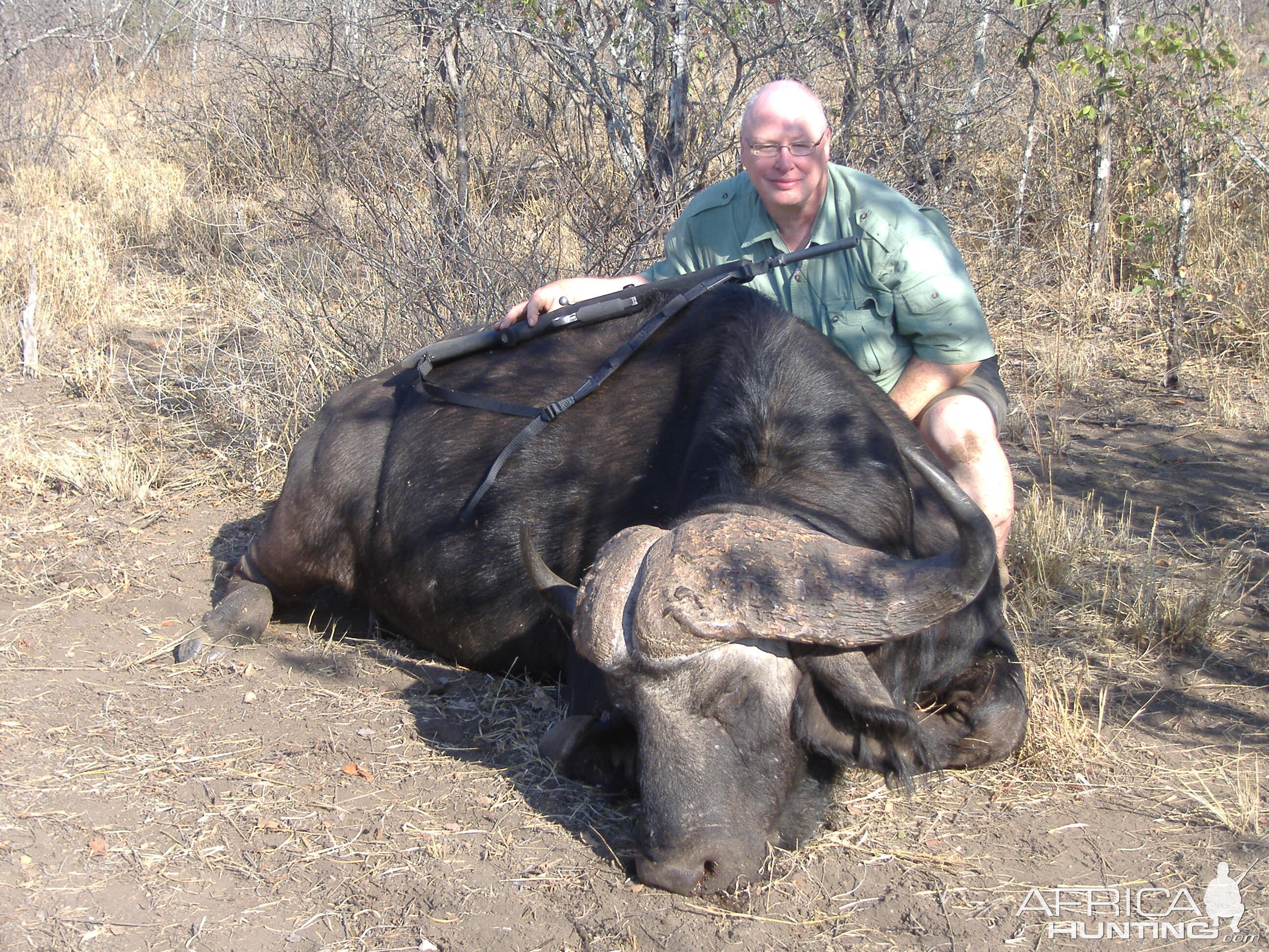 Hunting Cape Buffalo Zimbabwe
