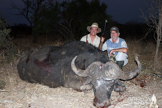 Hunting Cape Buffalo