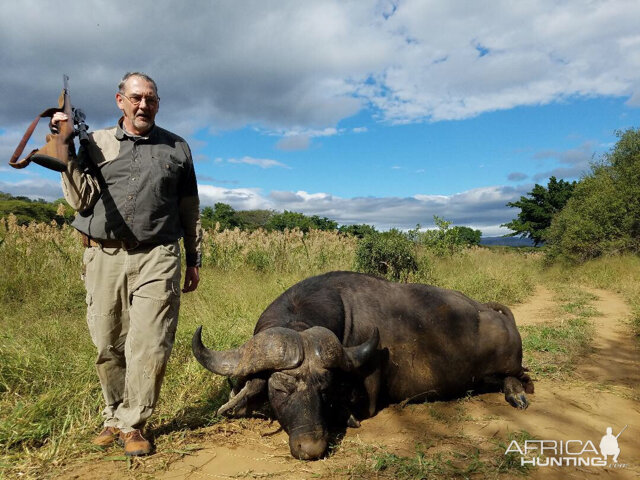 Hunting Cape Buffalo