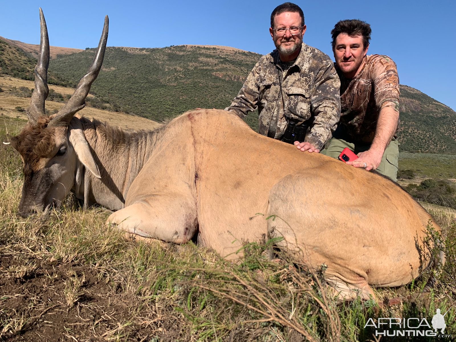 Hunting Cape Eland Winterberg Mountains Eastern Cape South Africa