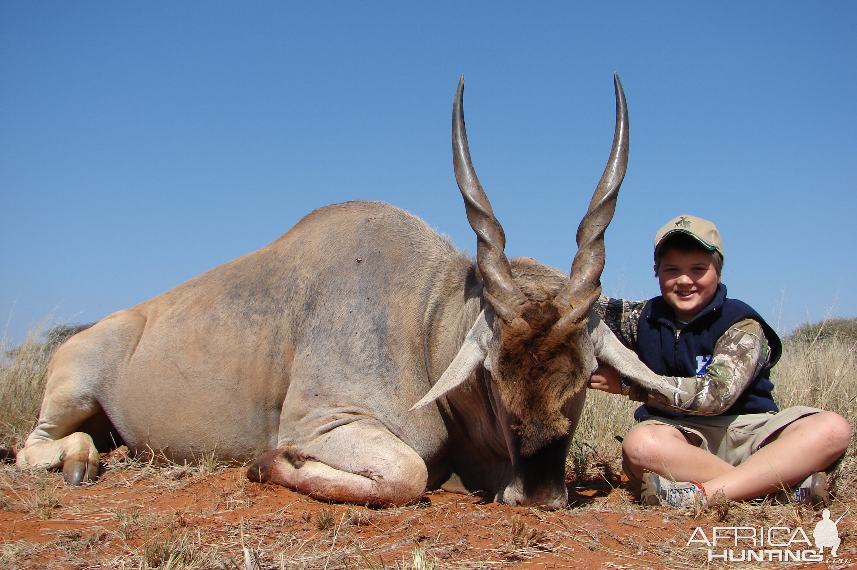 Hunting Cape Eland with Wintershoek Johnny Vivier Safaris in SA