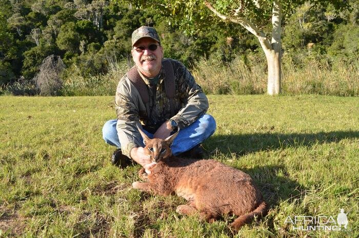 Hunting Caracal in South Africa