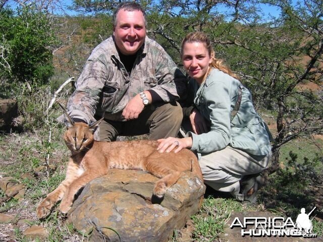 hunting Caracal in South Africa