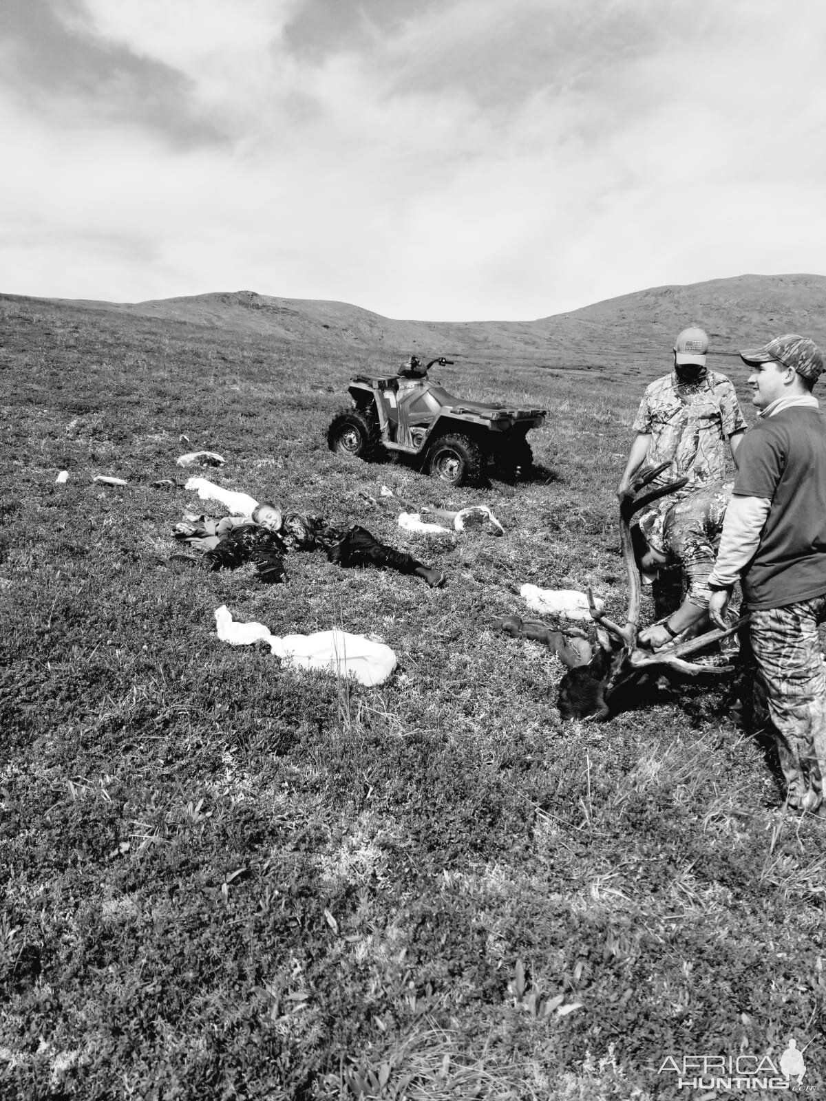 Hunting Caribou in Alaska USA