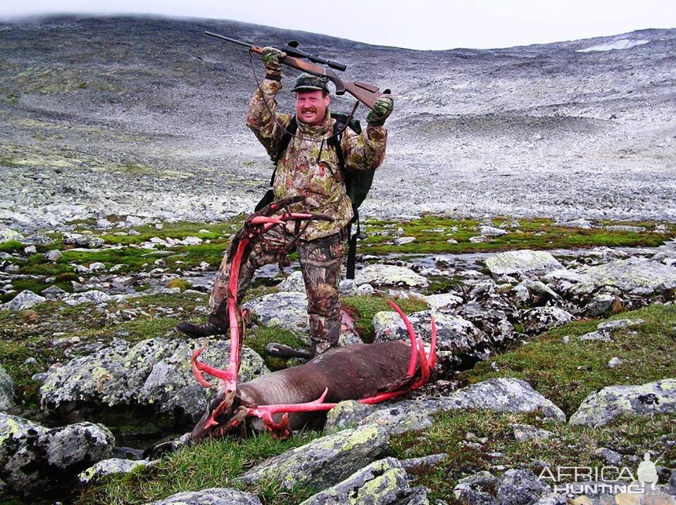 Hunting Caribou Norway