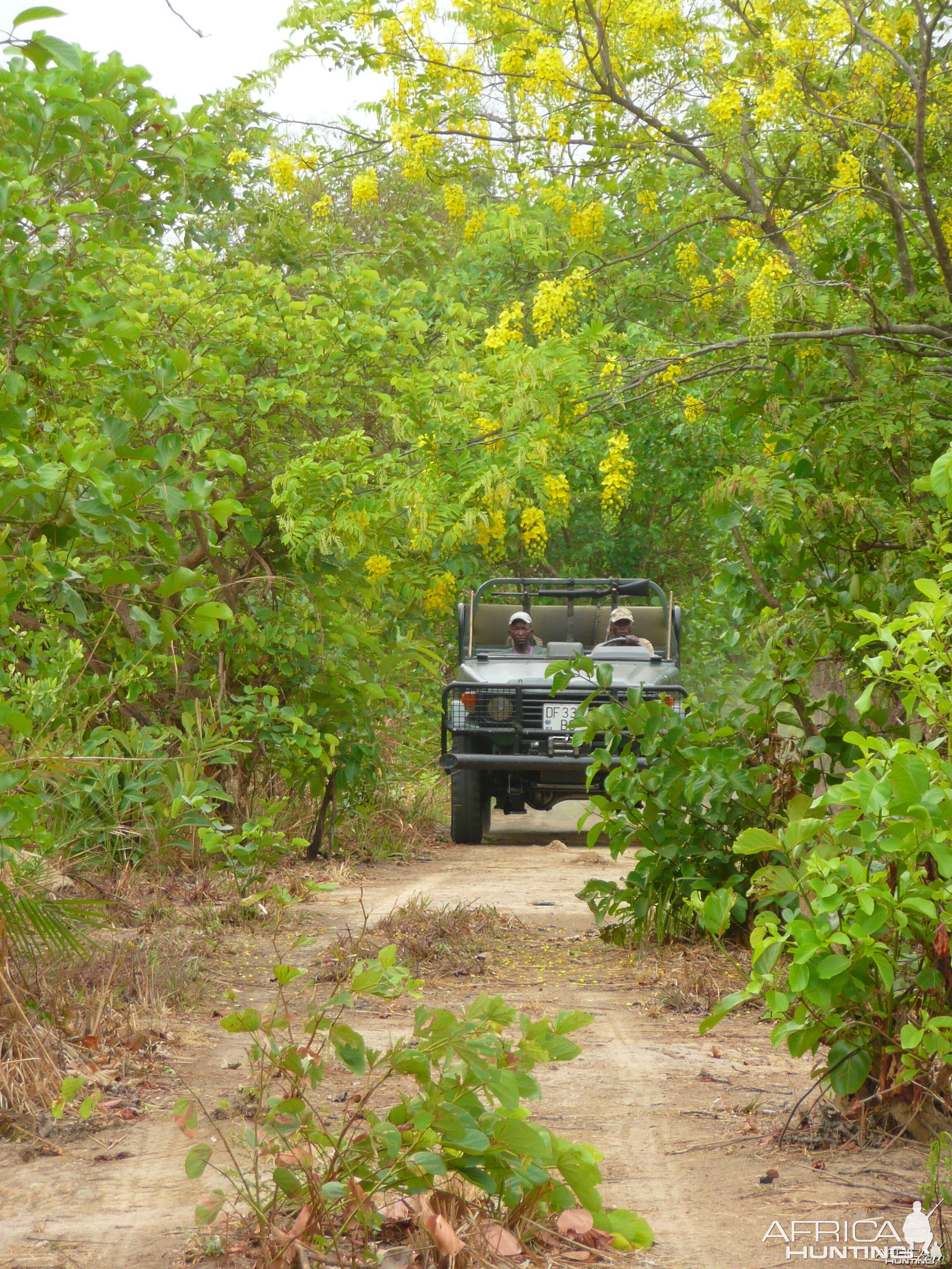 Hunting Central African Republic CAR