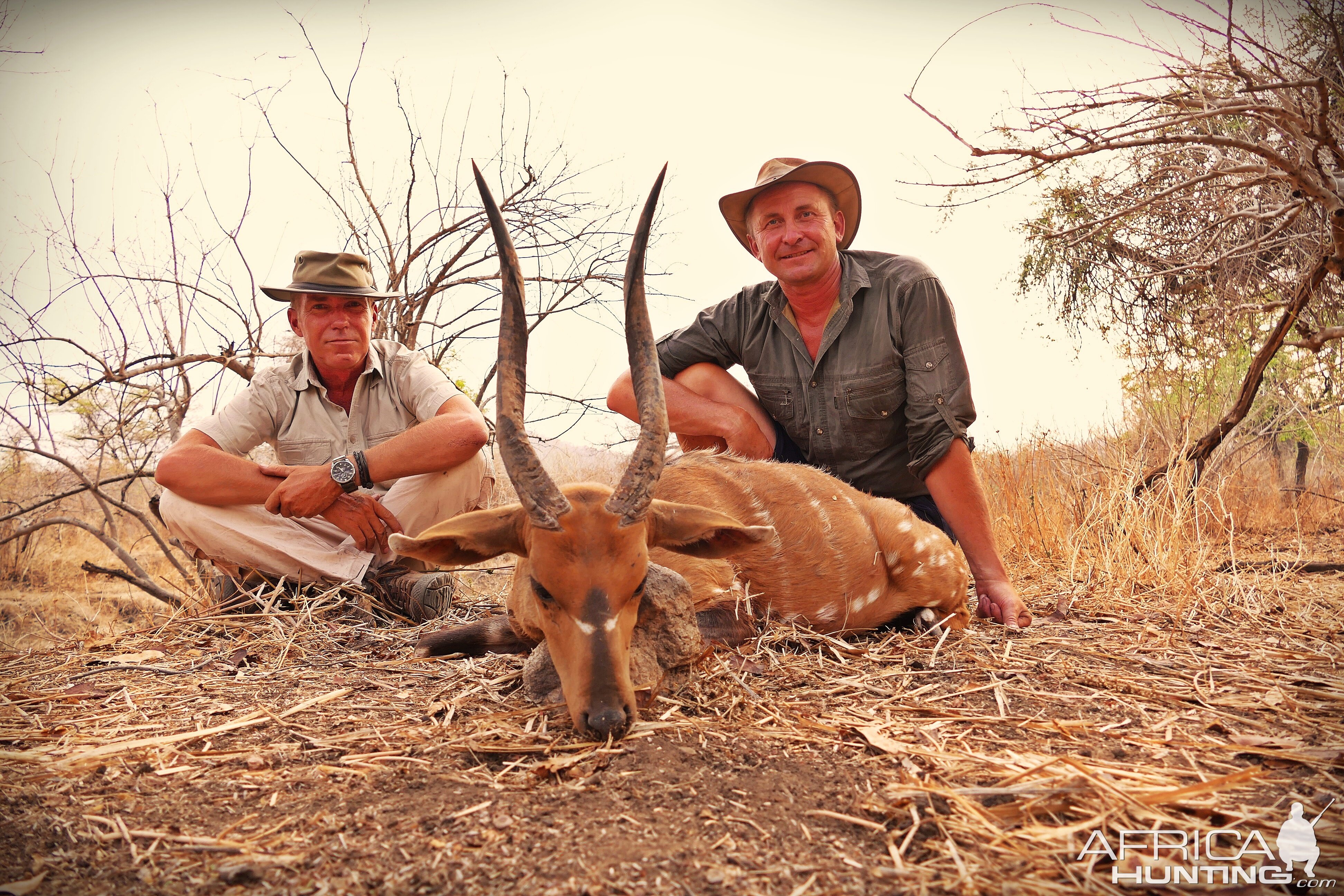 Hunting Chobe Bushbuck in Zambia