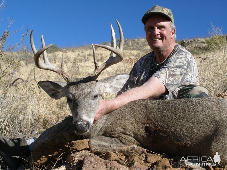 Hunting Coues Deer