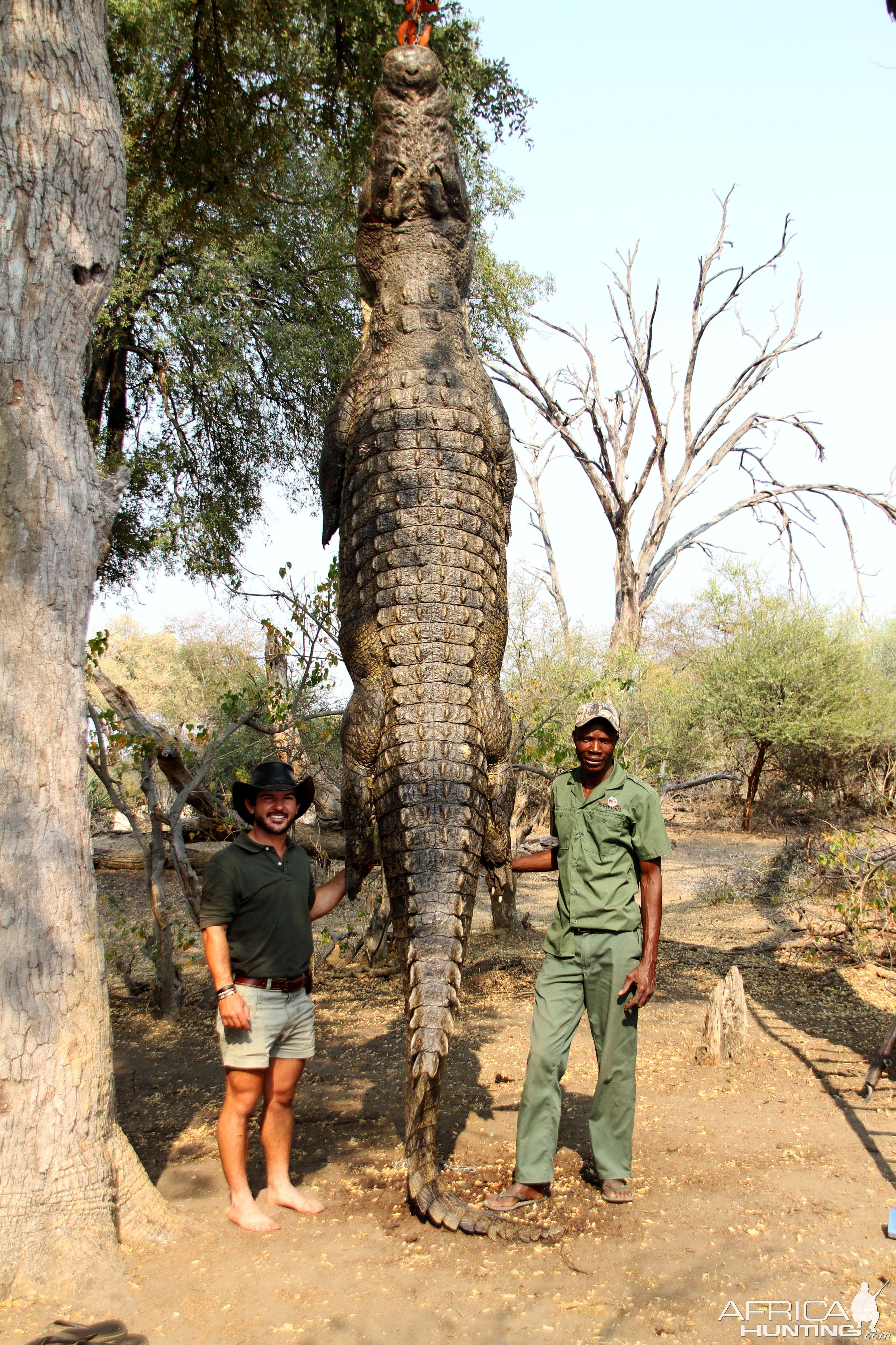 Hunting Crocodile in Namibia