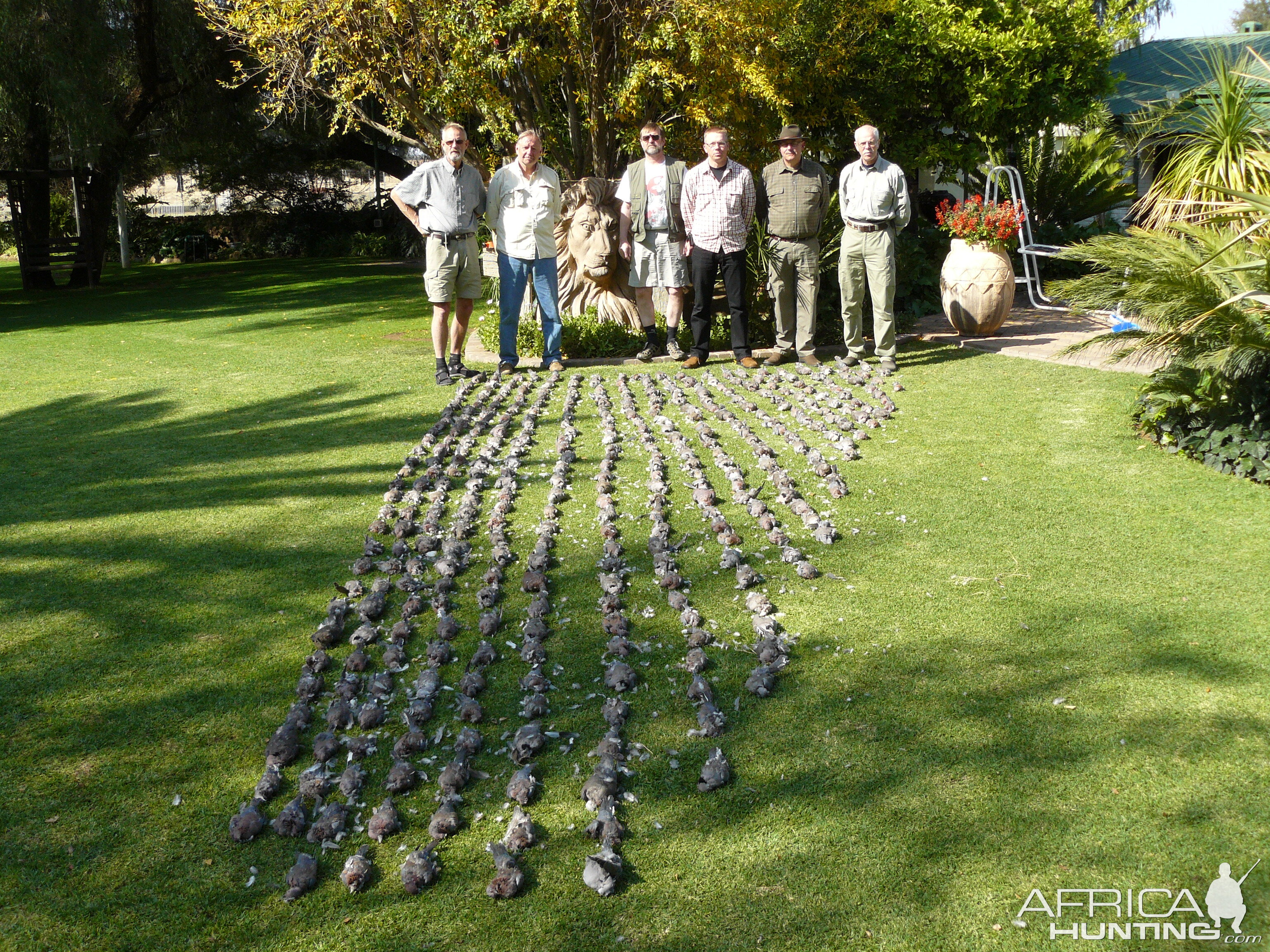 Hunting Doves in South Africa