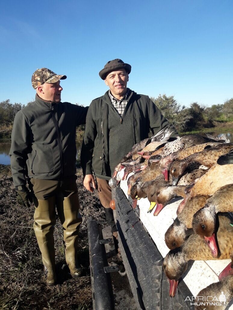 Hunting Duck in Argentina