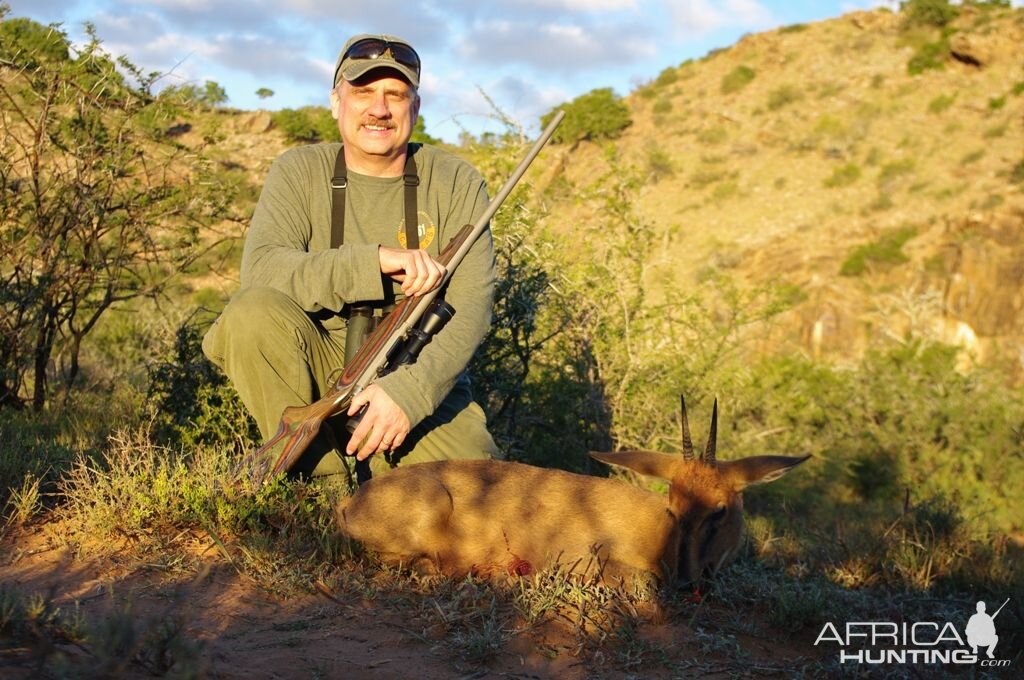 Hunting Duiker South Africa