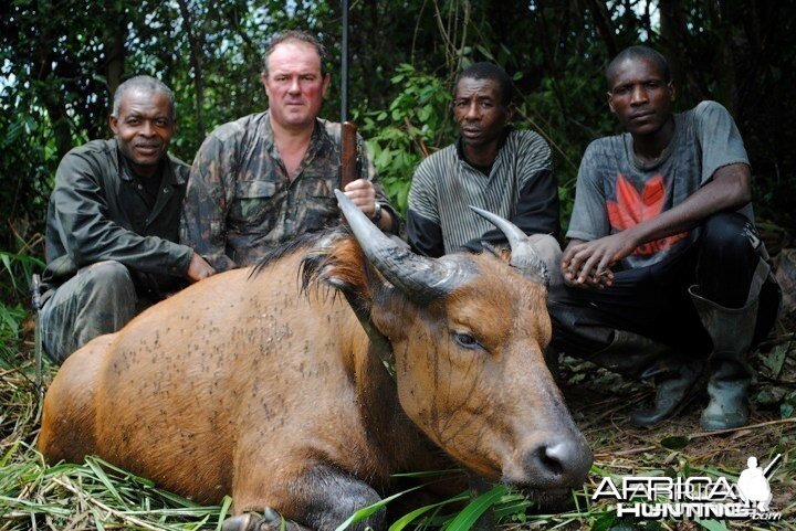 Hunting Cameroon Forest |