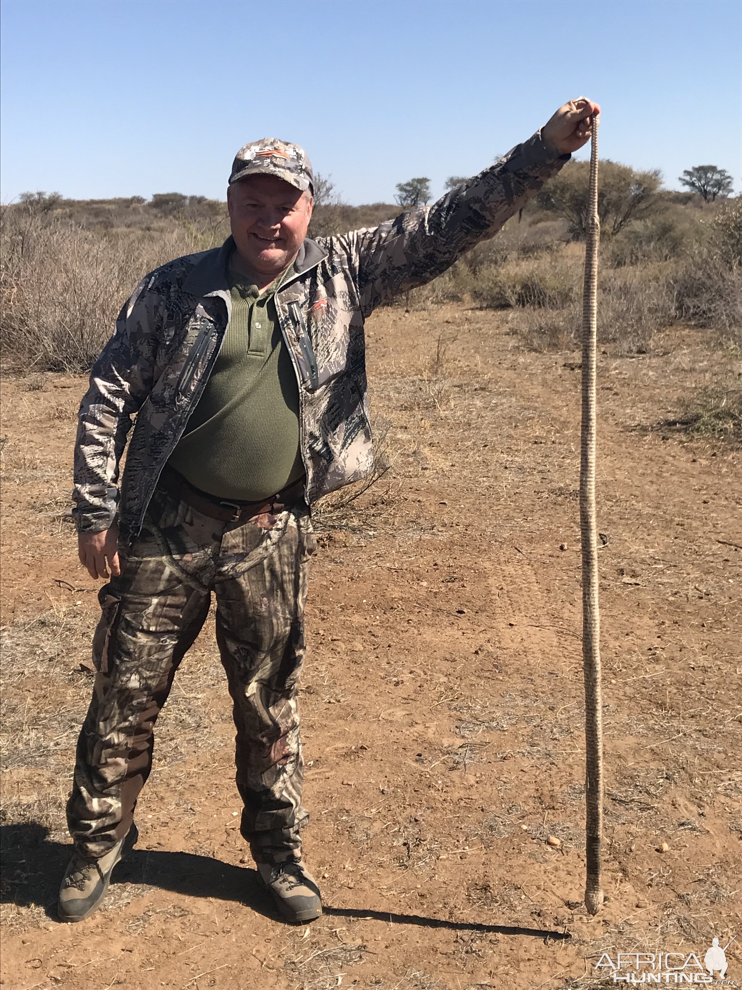 Hunting Egyptian Cobrain Namibia