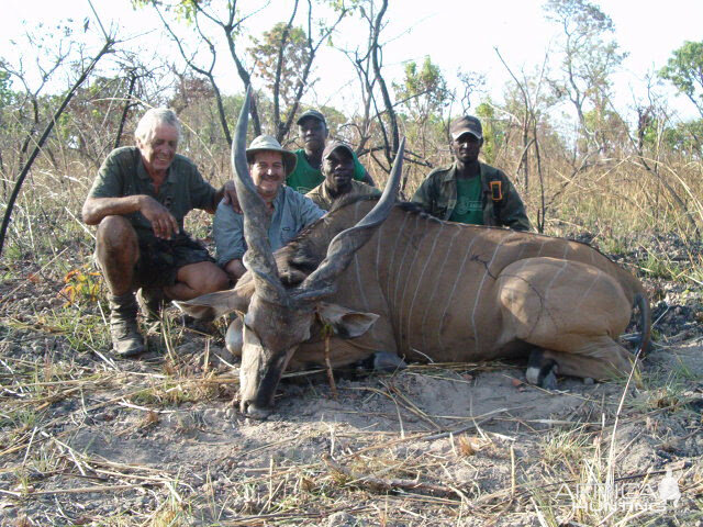 Hunting Eland Cameroon