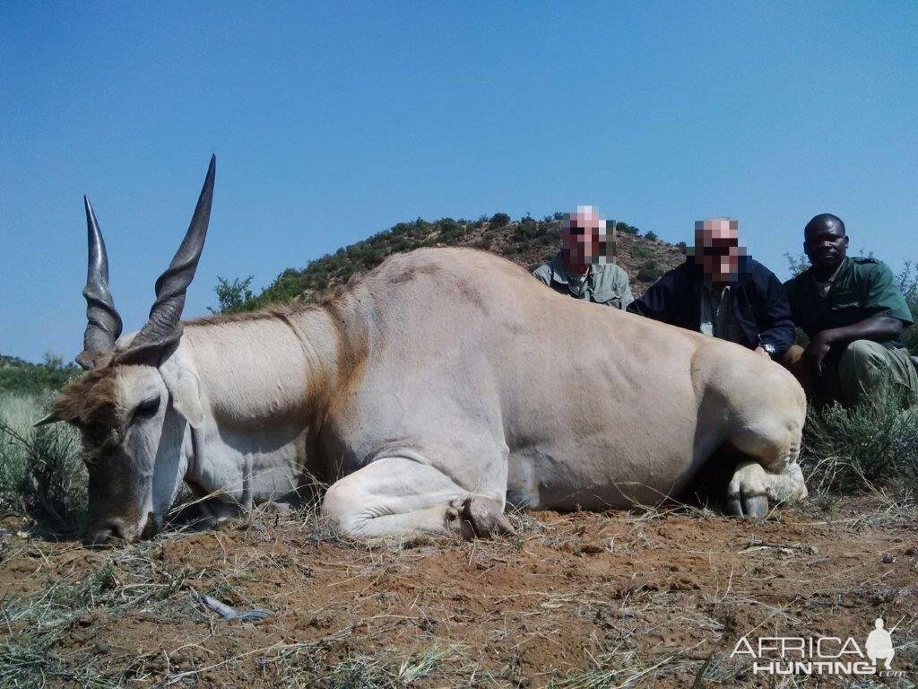 Hunting Eland in Namibia