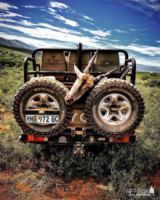 Hunting Eland in South Africa