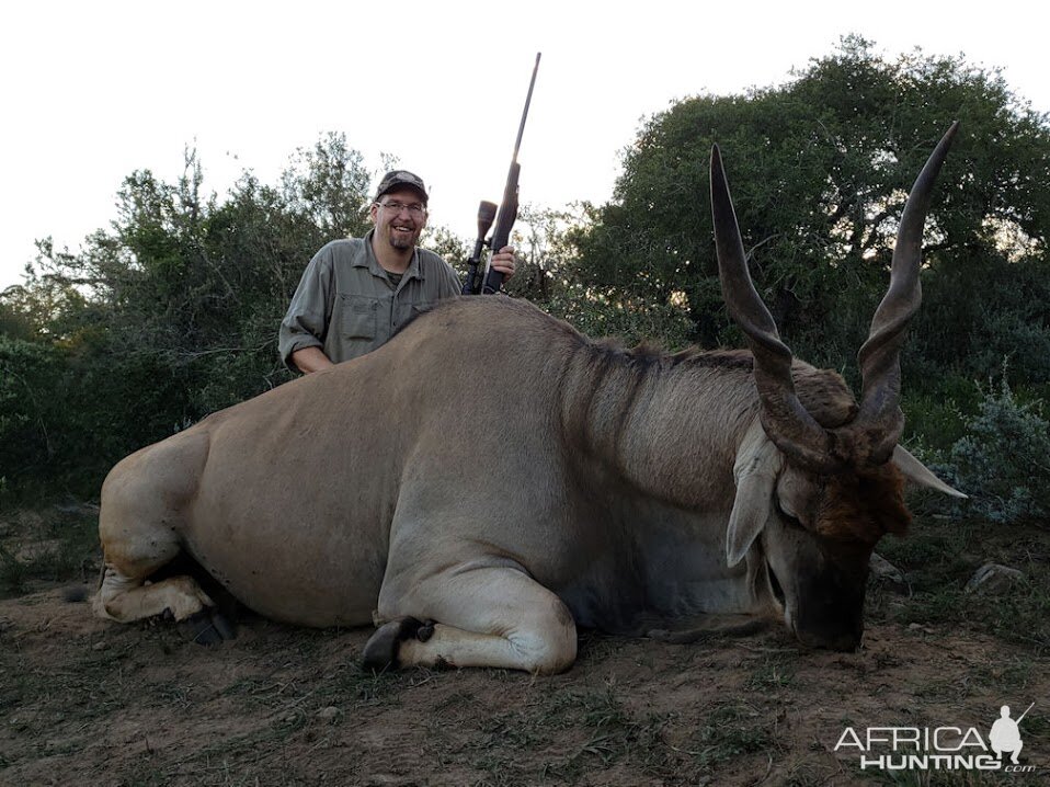 Hunting Eland in South Africa