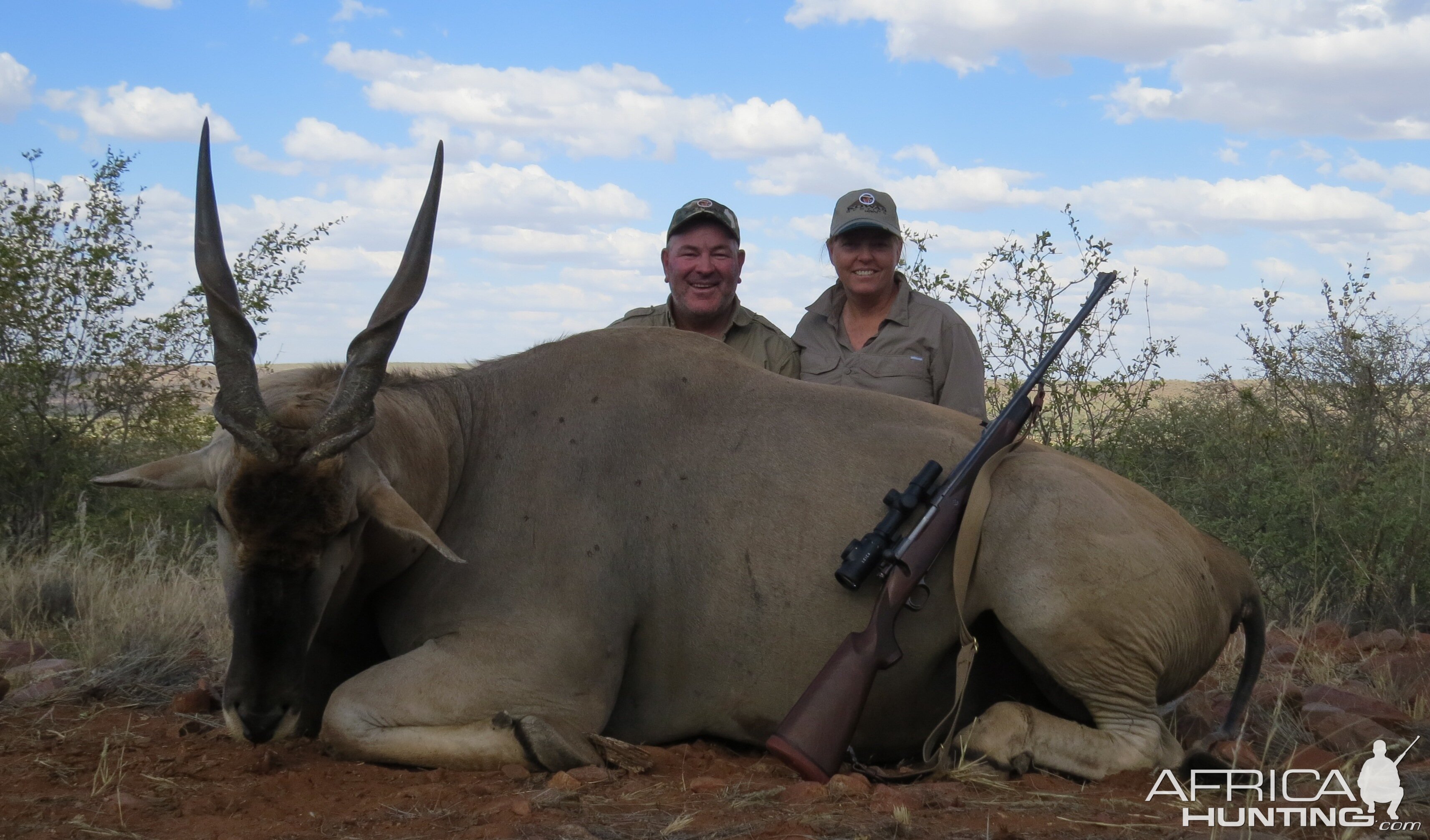 Hunting Eland Namibia