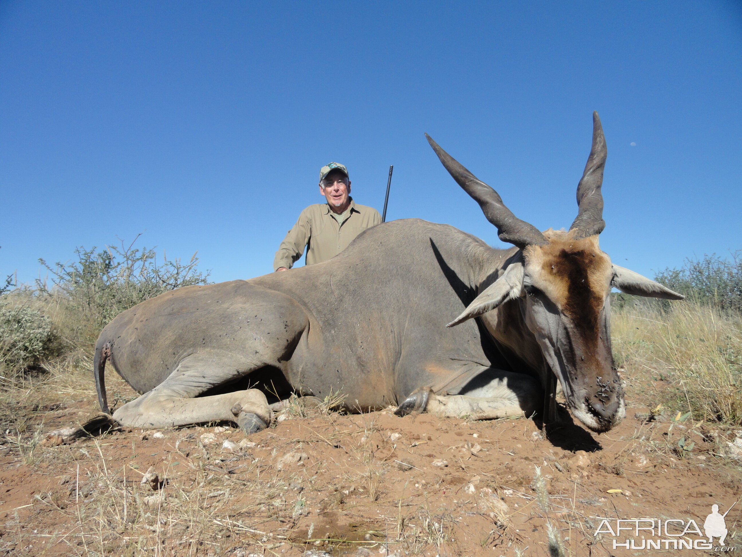 Hunting Eland Namibia