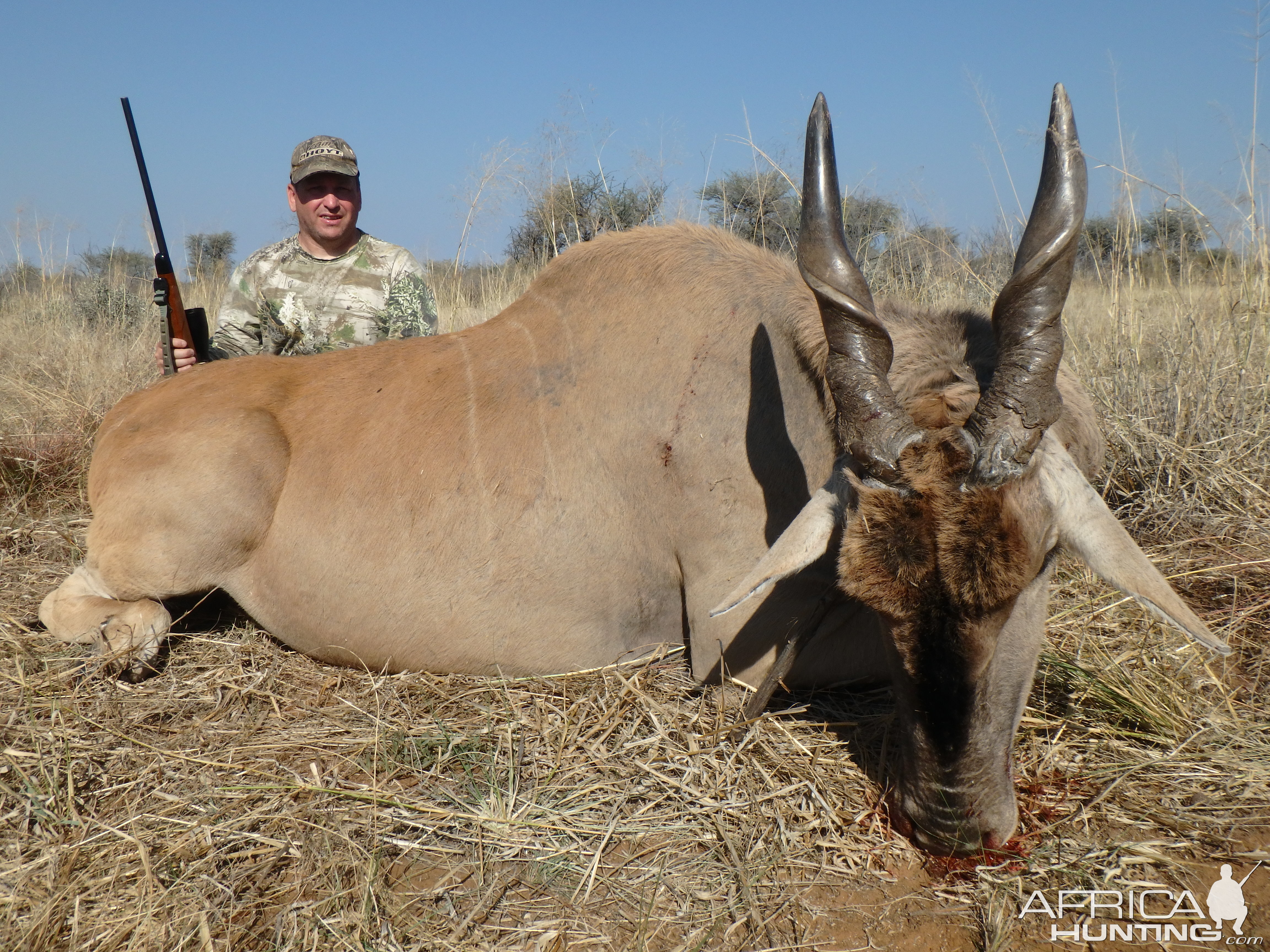 Hunting Eland Namibia