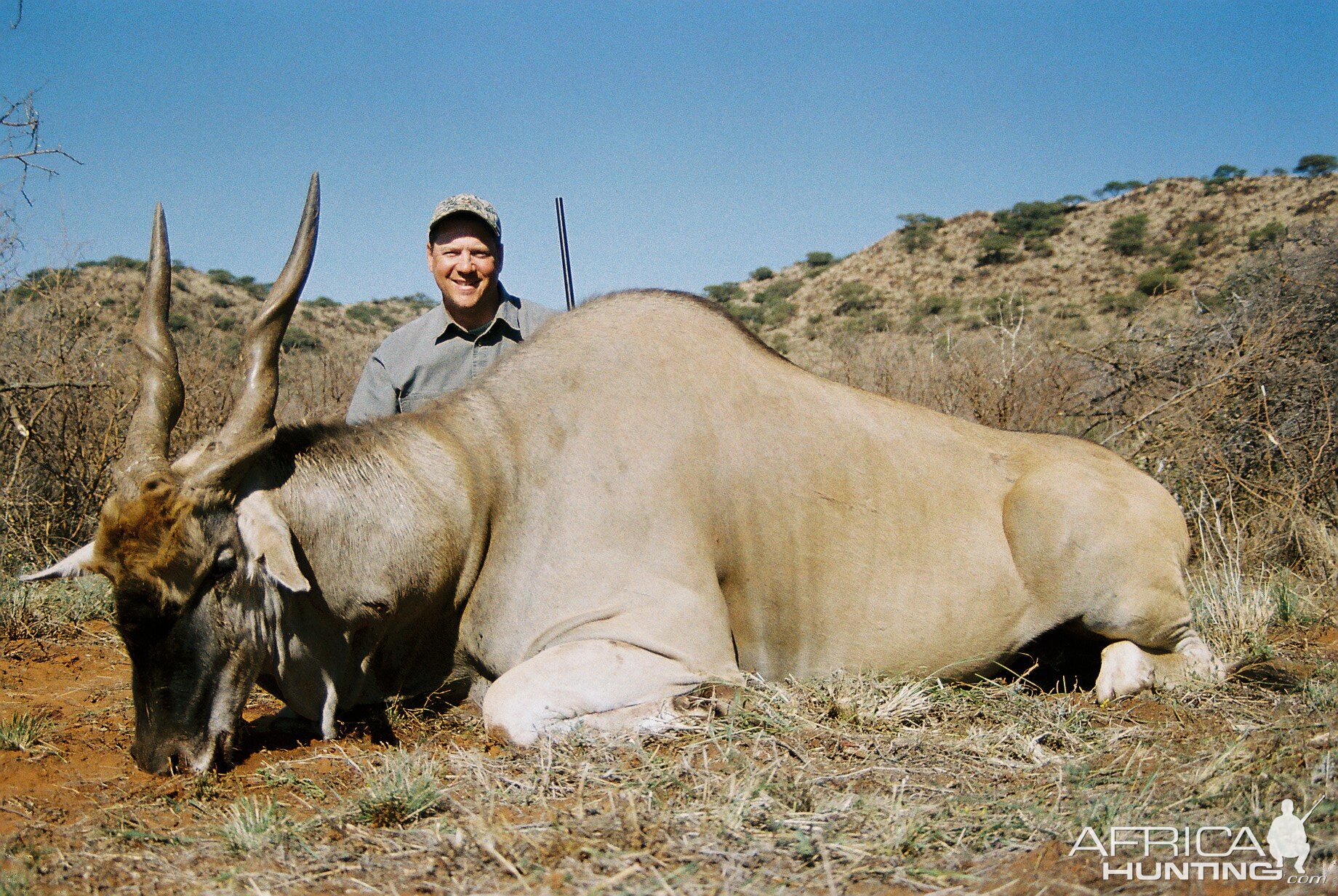 Hunting Eland with Wintershoek Johnny Vivier Safaris in SA