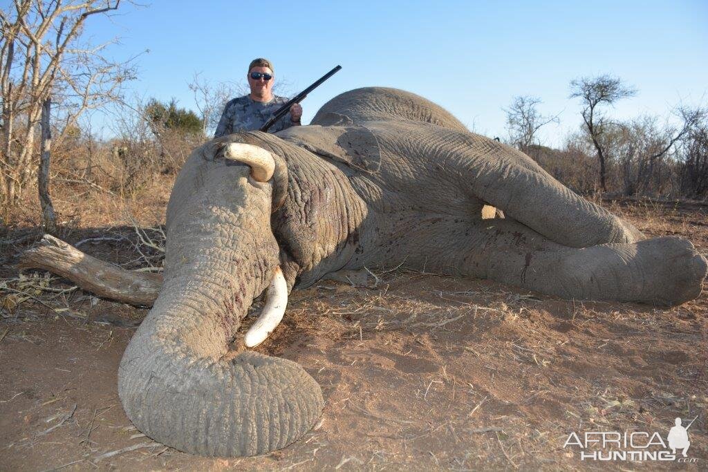 Hunting Elephant in South Africa