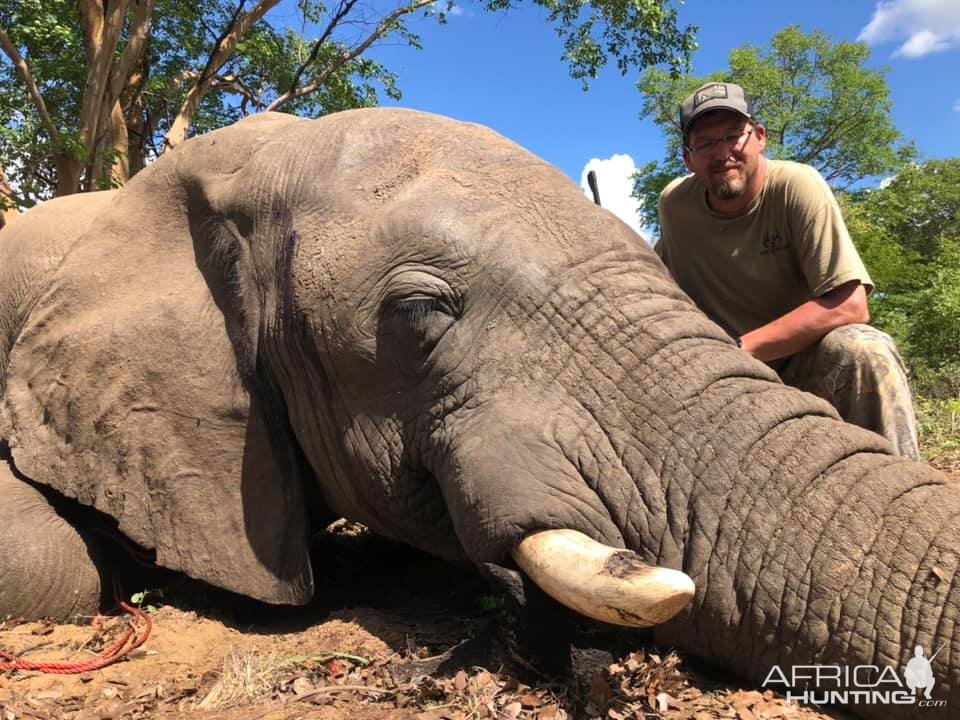 Hunting Elephant in Zimbabwe