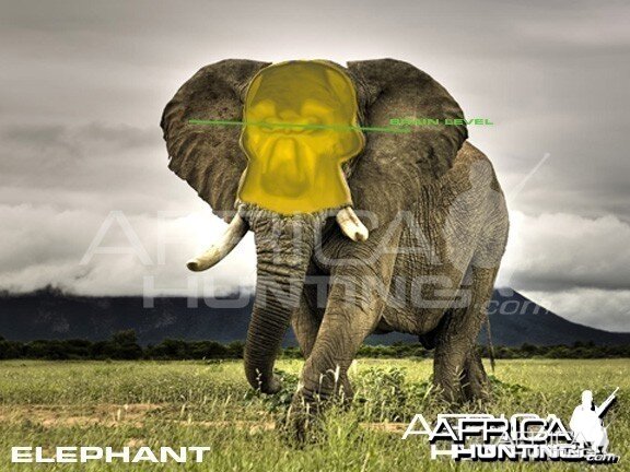 Hunting Elephant Quater View Shot Placement