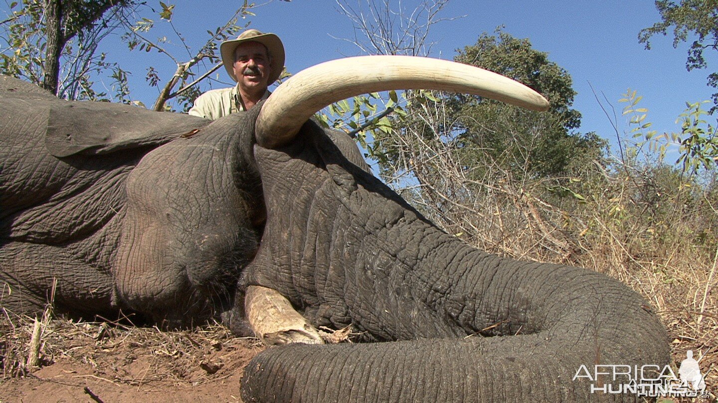 Hunting Elephant with Wintershoek Johnny Vivier Safaris in SA