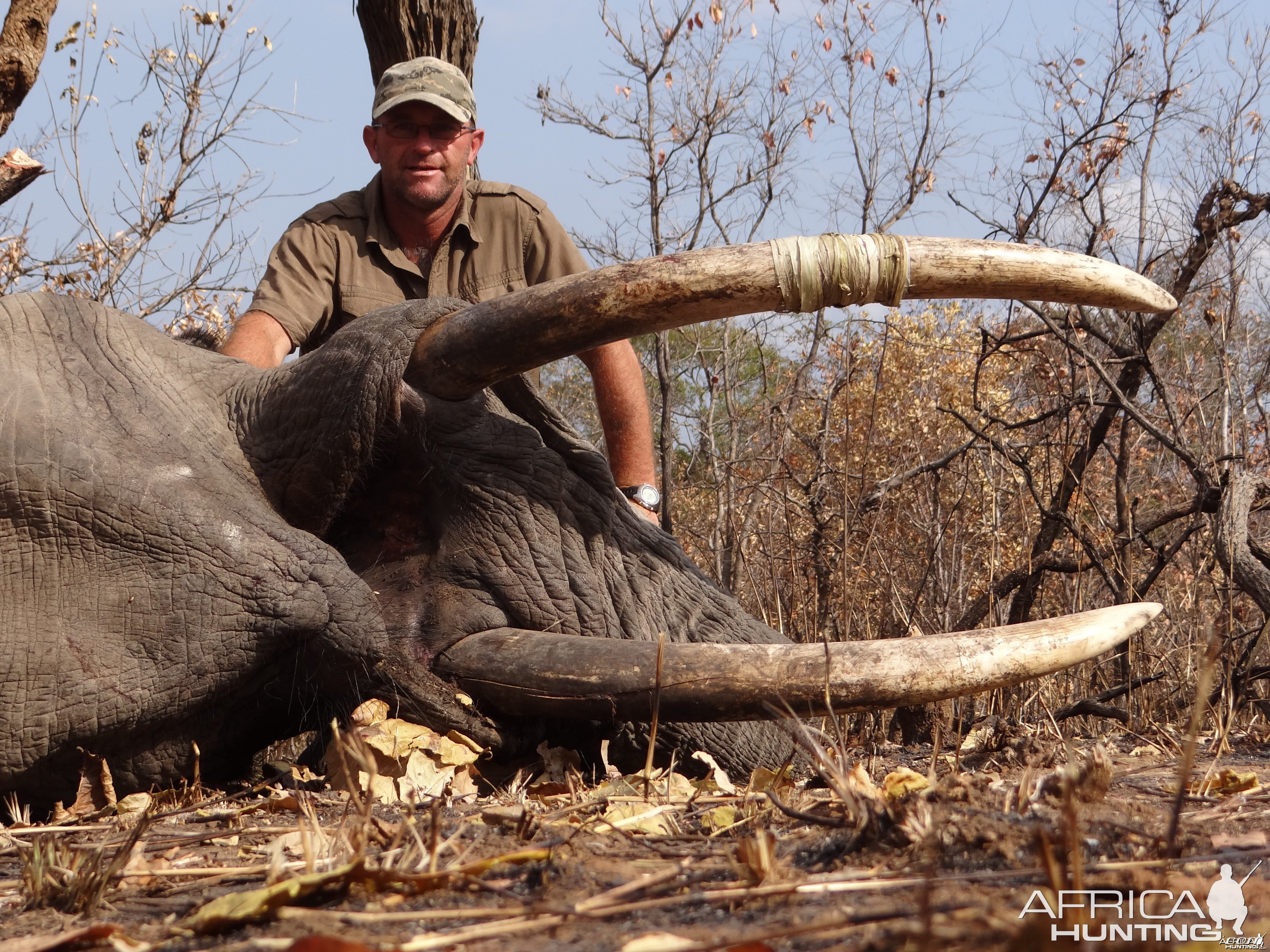 Hunting Elephant