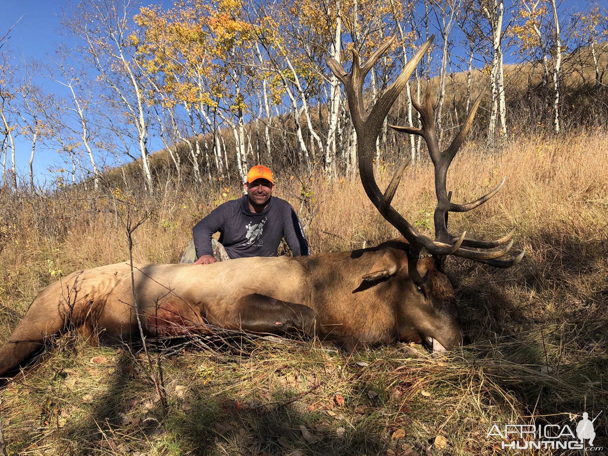 Hunting Elk in Canada