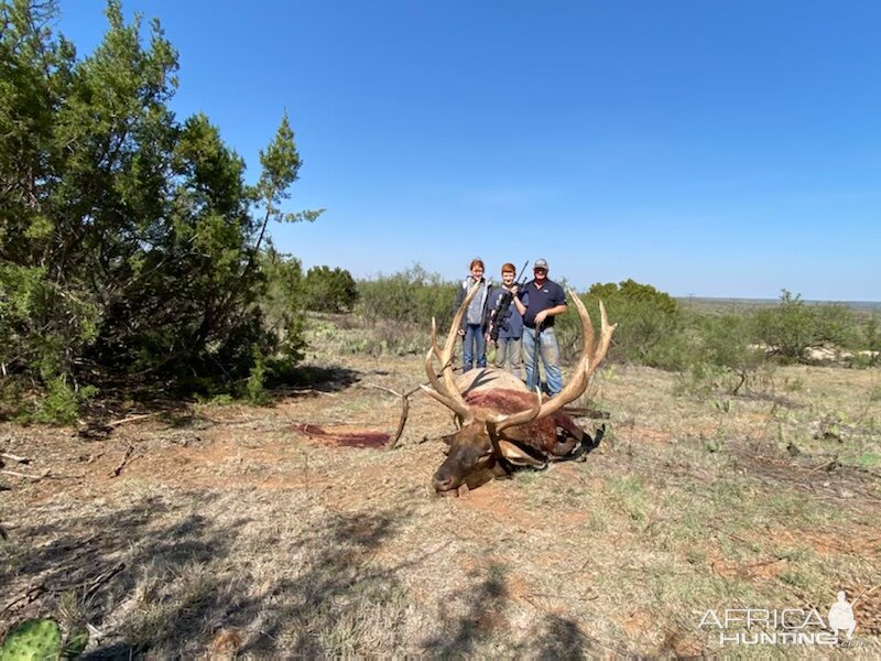 Hunting Elk in Texas USA