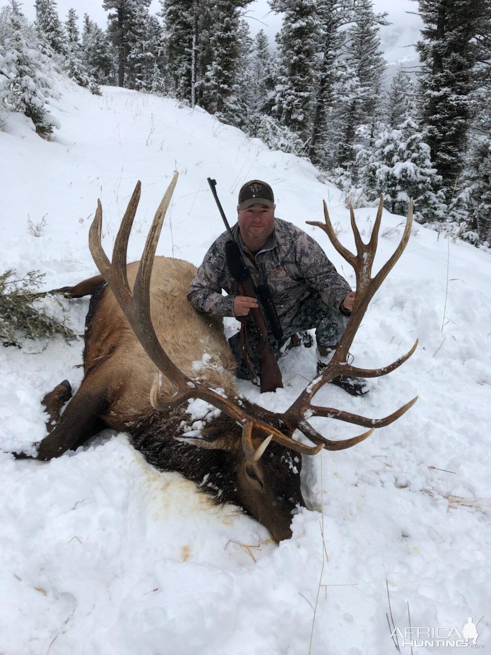 Hunting Elk in USA